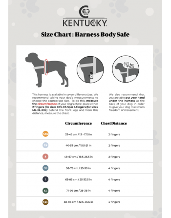 Harnais pour chien body safe - Kentucky Kentucky - 6