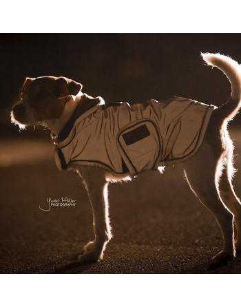 Manteau pour chien reflective et water repellent Kentucky Kentucky - 3