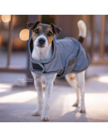 Manteau pour chien reflective et water repellent Kentucky Kentucky - 4