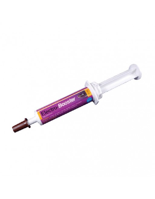 Electro-Booster Seringue 30mL Horse Master LAMICELL - 1