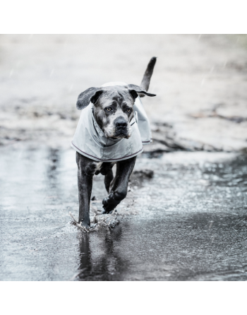 Kentucky manteau de pluie pour chien Kentucky - 3