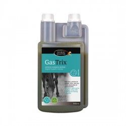 Gastrix soutien de la muqueuse gastrique HORSE MASTER HORSE MASTER - 1